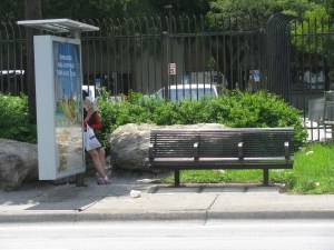 Bus Stop 24